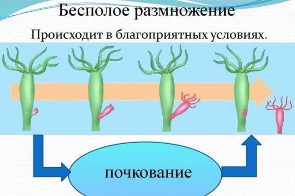 Kraken зарегистрироваться