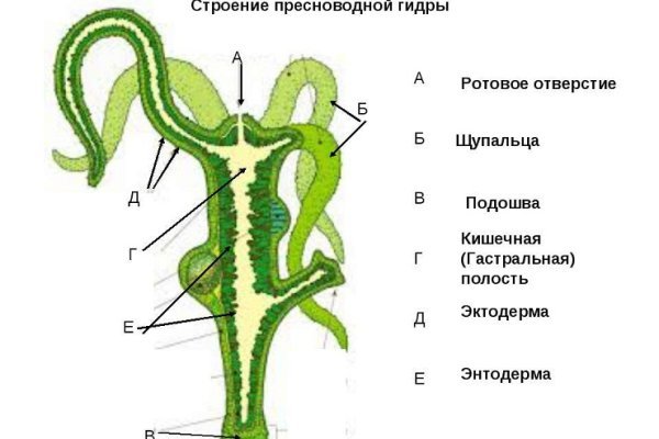 Гидра ссылка зеркало