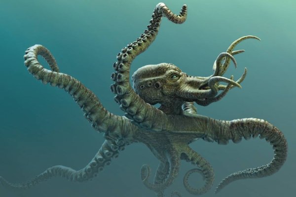 Kraken mega